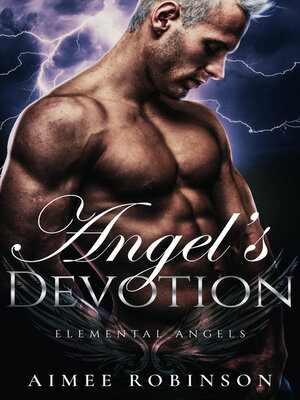 cover image of Angel's Devotion